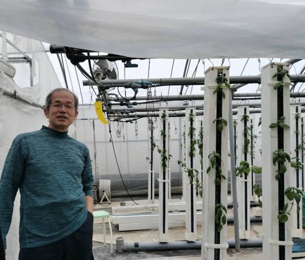 ハウスの中で話す生産者