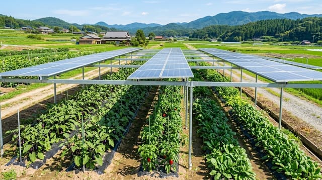 ソーラーシェアリングとは？農家が知っておくべき基本と収益モデル（イメージ画像）